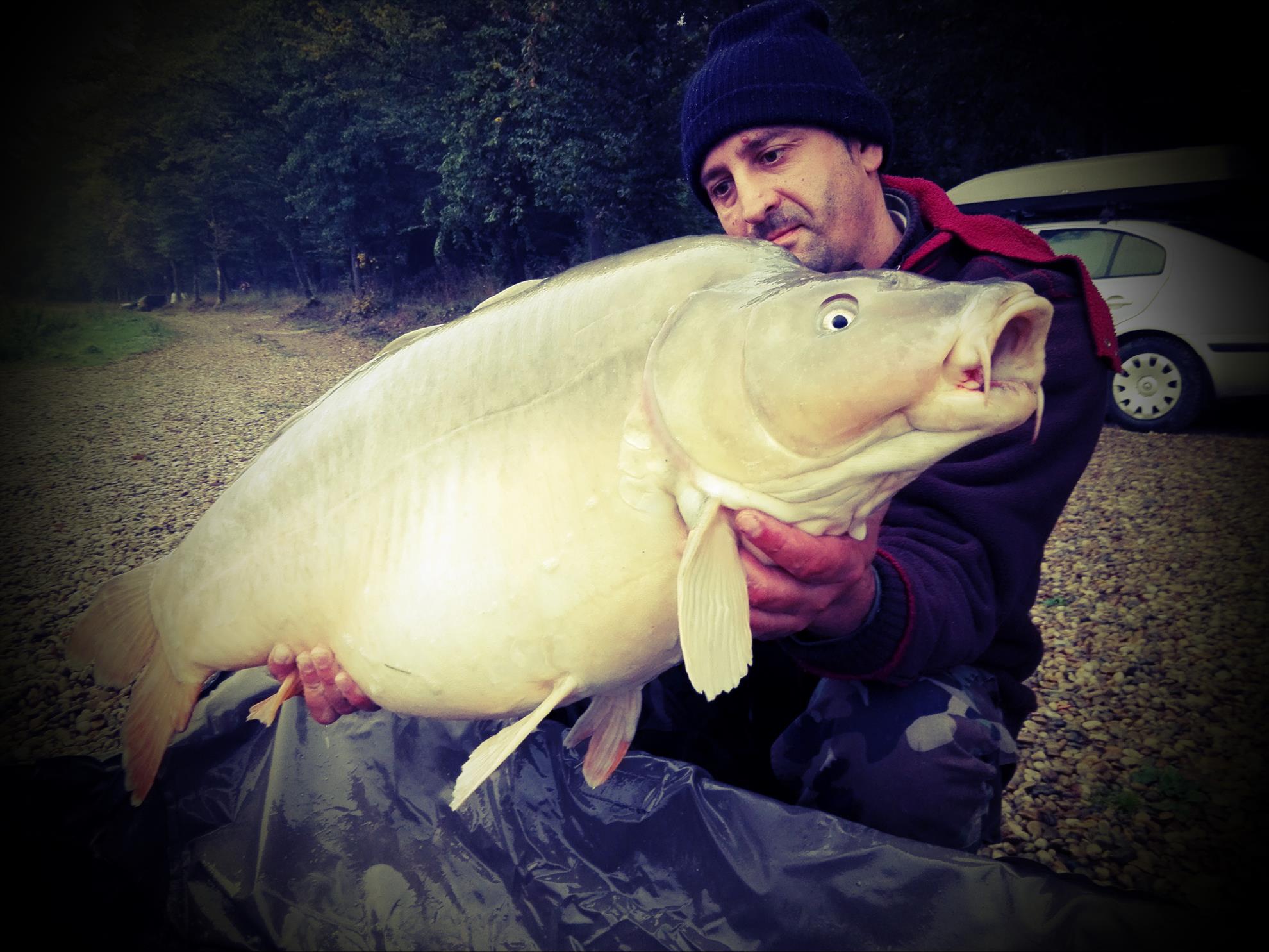 1-5 Octombrie Cetariu - img20161003081158.jpg